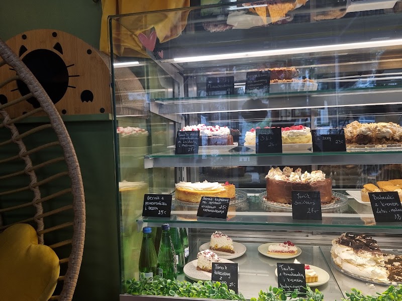 Kotka Cafe (dla 14+)